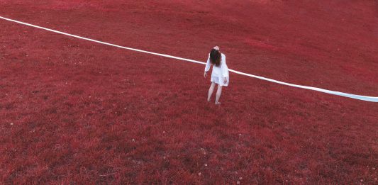 Arte Laguna Prize 2021. Laura Gallon racconta il nuovo bando