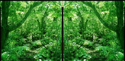 Giuseppe Adamo, Yojiro Imasaka, Silvia Infranco, Quayola. OLTRENATURA da Marignana Arte a Venezia