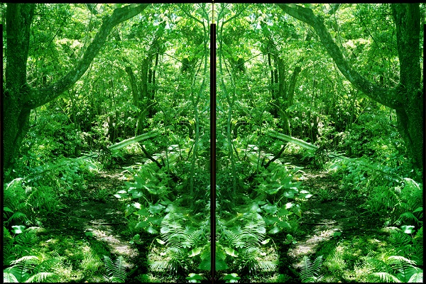 Yojiro Imasaka, Illuminating Earth IE#045