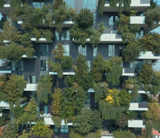 La Stazione dell’Arte rinvia la mostra con Stefano Boeri. Aperti la permanente e il Museo a cielo aperto