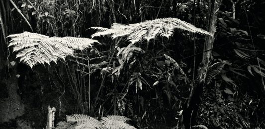Brunella Longo e Ale Guzzetti alla Fondazione Umberto Mastroianni