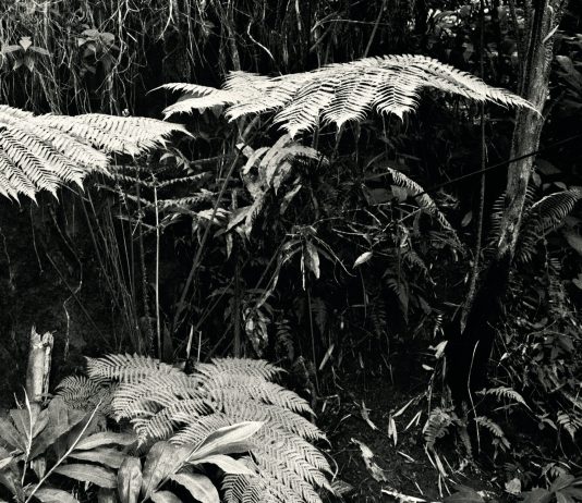Brunella Longo e Ale Guzzetti alla Fondazione Umberto Mastroianni