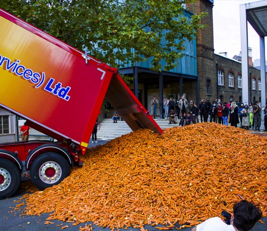 A Londra, un artista scarica in strada 29 tonnellate di carote per una performance