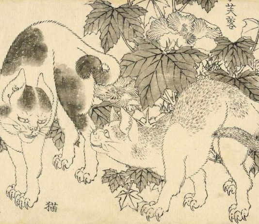 103 “nuovi” disegni di Hokusai al British Museum, da visitare anche online