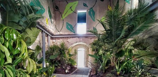 Una foresta tra le mura del Palazzo Human Forest, Favara Cultural Park