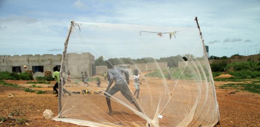 Dal Mali a Napoli, il lungo viaggio delle fotografie di Mohamed Keita