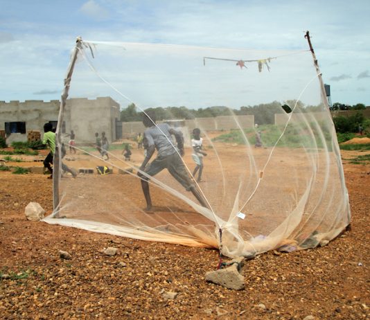 Dal Mali a Napoli, il lungo viaggio delle fotografie di Mohamed Keita