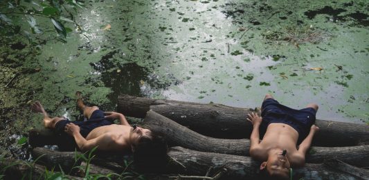 Lo Schermo dell’Arte va avanti e porta i suoi film in streaming online