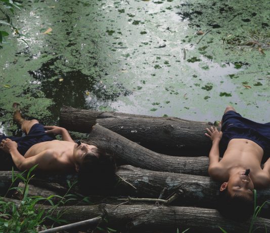 Lo Schermo dell’Arte va avanti e porta i suoi film in streaming online