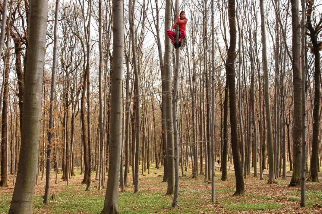 Tree Time. Arte e scienza per una nuova alleanza con la naturahttps://www.exibart.com/repository/media/2020/10/unnamed-12-1068x710.jpg