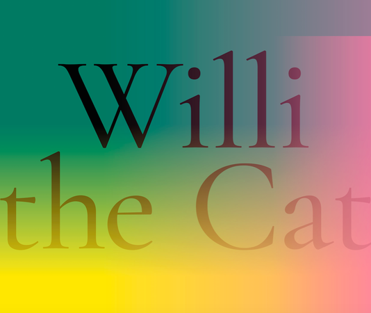 WILLI the Cat