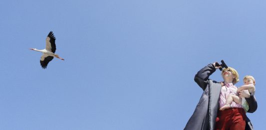 Max Mara The Cube con il padding in Cameluxe: bella, saggia e degna di stima