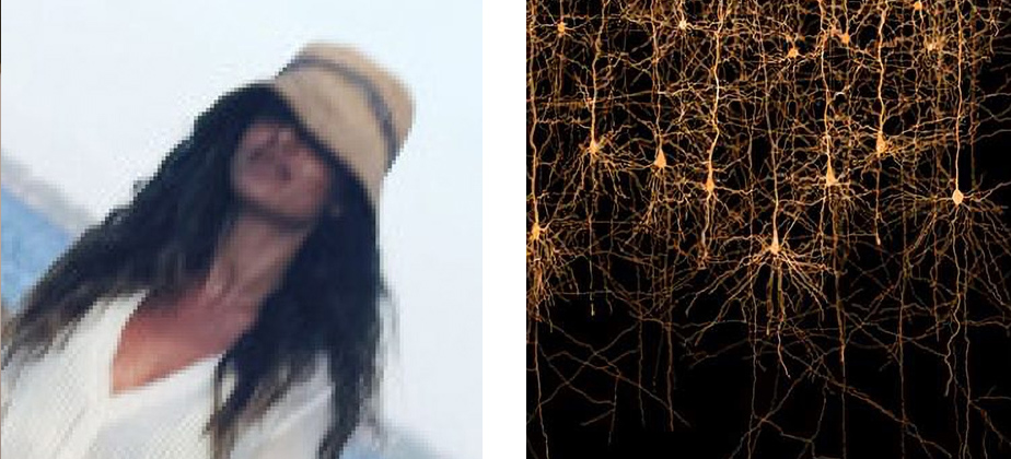 Francesca Matarazzo di Licosa