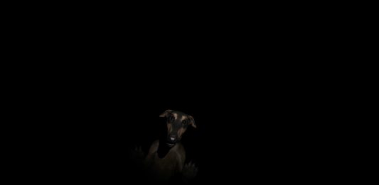 Un Bastardo al Festival della Peste: intervista a Valentina Furian