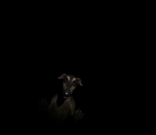 Un Bastardo al Festival della Peste: intervista a Valentina Furian