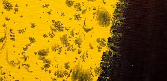 La pittura di Katharina Grosse a Roma