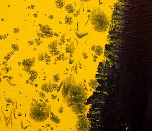 La pittura di Katharina Grosse a Roma