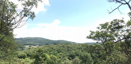 Artenatura Villaga: Un museo a cielo aperto sui Colli Berici