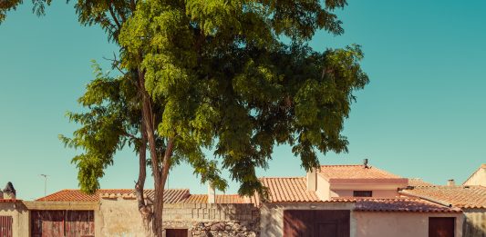‘With Italy, For Italy’: 20 fotografi per 20 regioni, con Lamborghini