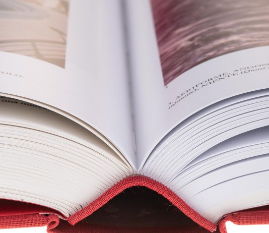 La Psicoenciclopedia Possibile di Gianfranco Baruchello, per Treccani Psicoenciclopedia Possibile, Gianfranco Baruchello, 2020,© Treccani Arte 4