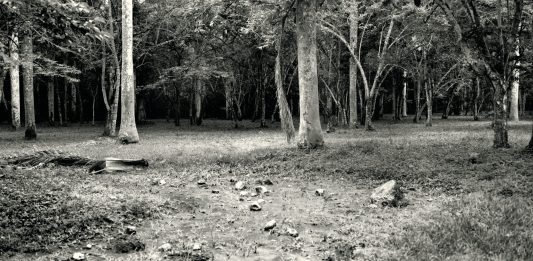 ‘Cuba Pre Mundo’: gli scatti di Brunella Longo a Villa Brivio e online