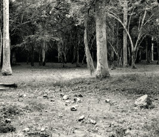 ‘Cuba Pre Mundo’: gli scatti di Brunella Longo a Villa Brivio e online