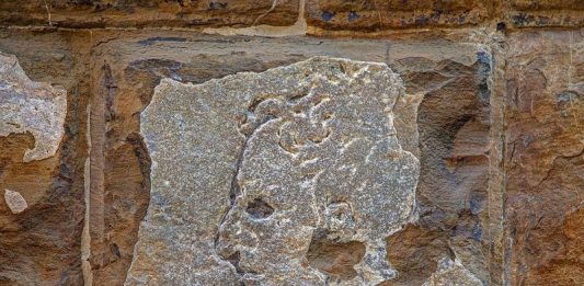 È Michelangelo l’autore dell’incisione sul muro di Palazzo Vecchio? L'incisione di Michelangelo sul muro di Palazzo Vecchio