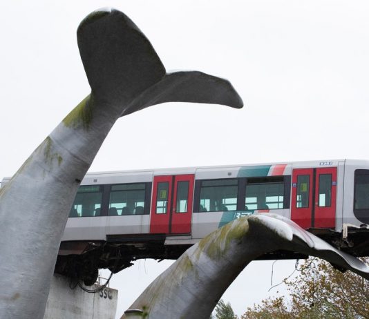 In Olanda, un treno deraglia ma una scultura salva il macchinista
