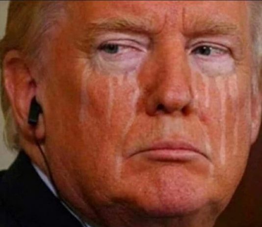 VOTE it like it’s hot #3: la caduta (forse) di Donald Trump, via meme