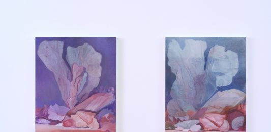 I mutevoli oggetti filmici dipinti da Polys Peslikas