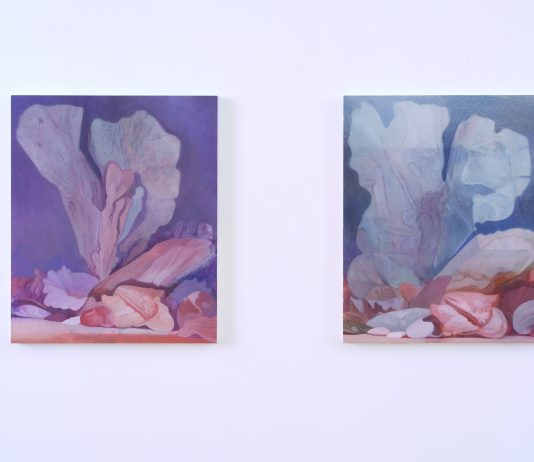 I mutevoli oggetti filmici dipinti da Polys Peslikas