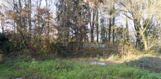 Disegnare il giardino: la call per ripensare tre aree verdi in Piemonte