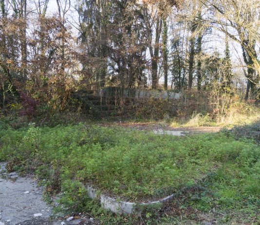 Disegnare il giardino: la call per ripensare tre aree verdi in Piemonte