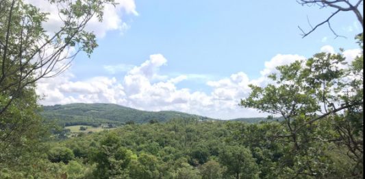 ARTE NATURA VILLAGA LANCIA UN BANDO INTERNAZIONALE PER ARTISTI E UNA CAMPAGNA CROWDFUNDING PER COSTRUIRE IL PRIMO MUSEO A CIELO APERTO CHE PERMETTERÀ DI “ABITARE L’ARTE”