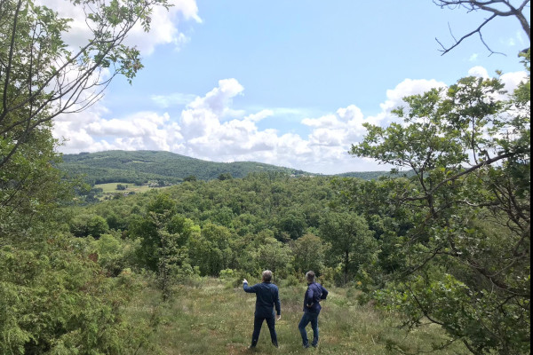 Immagine_Vernice Contemporanea_Exibart segnala