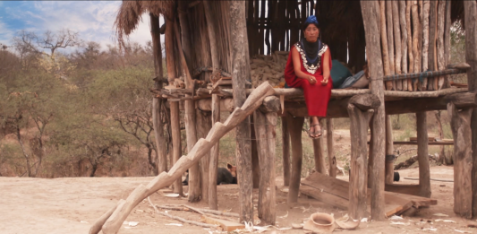 Riattivando Videografie: videoarte italiana e ispanica in dialogo online