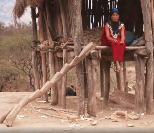 Riattivando Videografie: videoarte italiana e ispanica in dialogo online