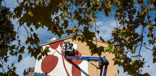 Tellas ritrae la natura a Villa Gordiani: EP ART 2020 si diffonde a Roma Est Il murales di Tellas a Roma