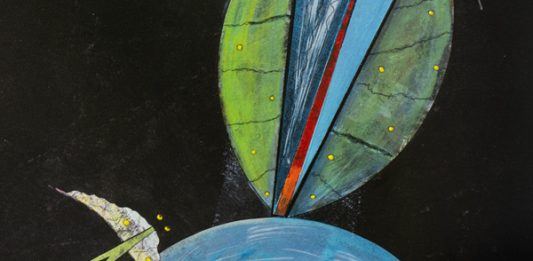 Toni Zanussi: L’anima, la terra, il colore.