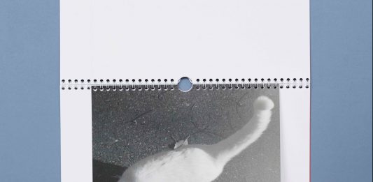 Un 2021 migliore, con le fotografie d’autore del calendario Animal Chronicles