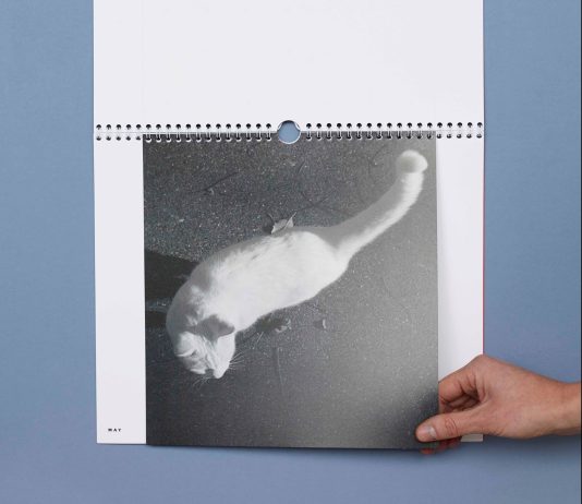 Un 2021 migliore, con le fotografie d’autore del calendario Animal Chronicles