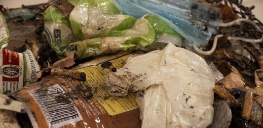 Teorica, pratica e poetica di un’arte ecosostenibile: intervista a Giovanni Blandino