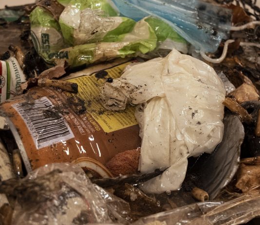 Teorica, pratica e poetica di un’arte ecosostenibile: intervista a Giovanni Blandino