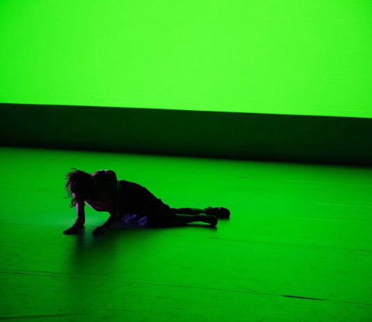 Tra le pagine della performance: il diario di Prender-si cura va online