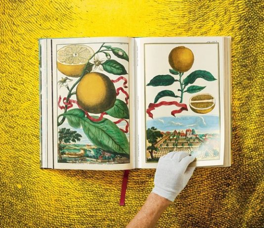 Taschen pubblica il volume che raccoglie le tavole illustrate di J.C Volkamer