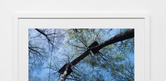 Oliver Ressler, In and Against the War on Terra – The Gallery Apart