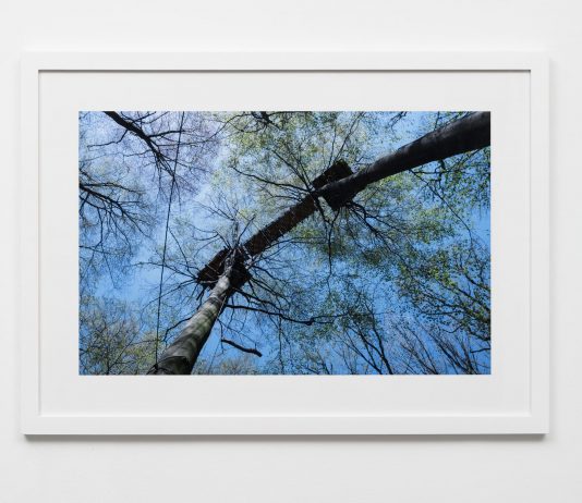 Oliver Ressler, In and Against the War on Terra – The Gallery Apart