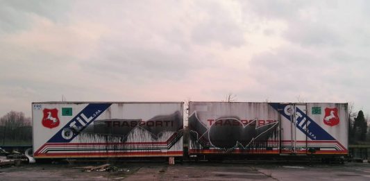 Graffitismo, Writing e Street Art: intervista a Vittorio Parisi (Parte III) SAUZER, graffiti su container abbandonati, Italia 2017 (© Sauzer)