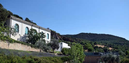 Museo Nivola: la programmazione 2021, da Peter Halley a Daniel Buren