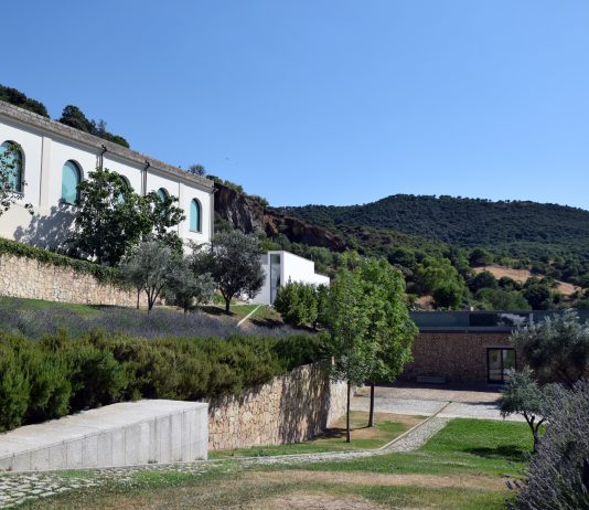 Museo Nivola: la programmazione 2021, da Peter Halley a Daniel Buren